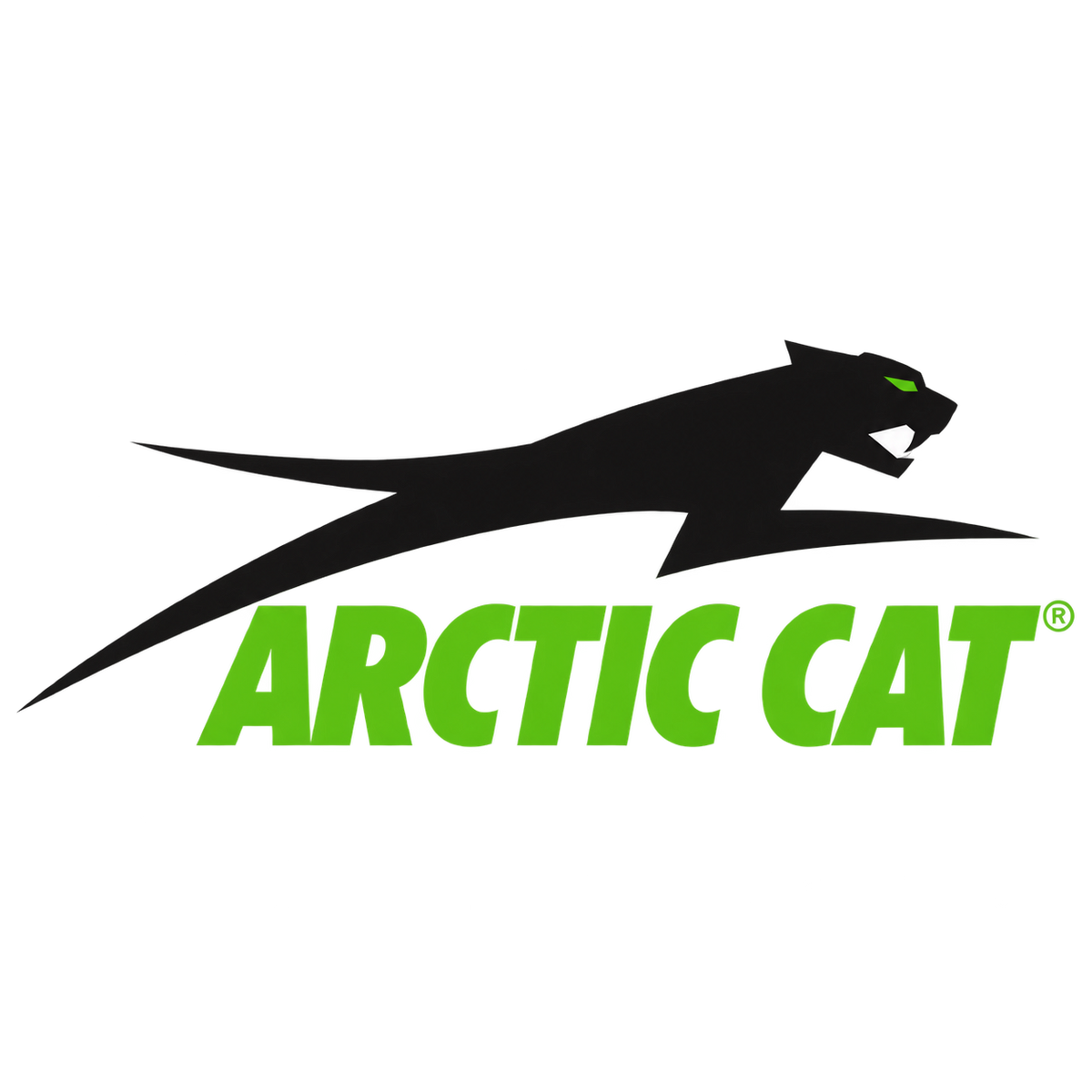 Arctic Cat